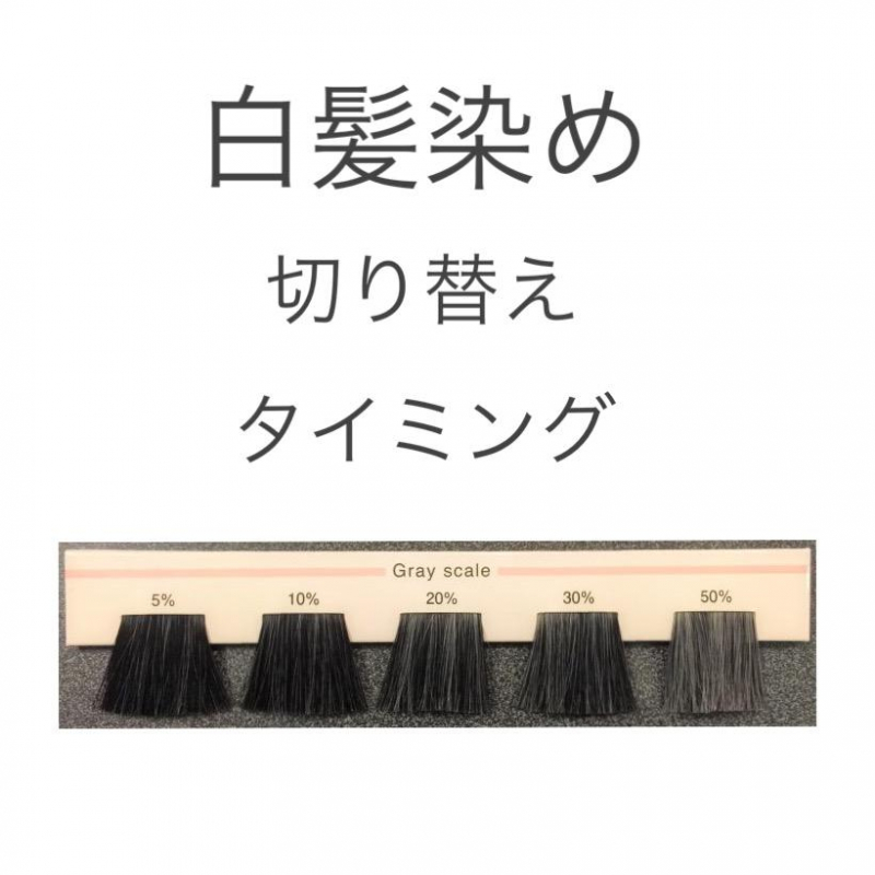 気になる白髪！どう隠す？どうぼかす？染めない？