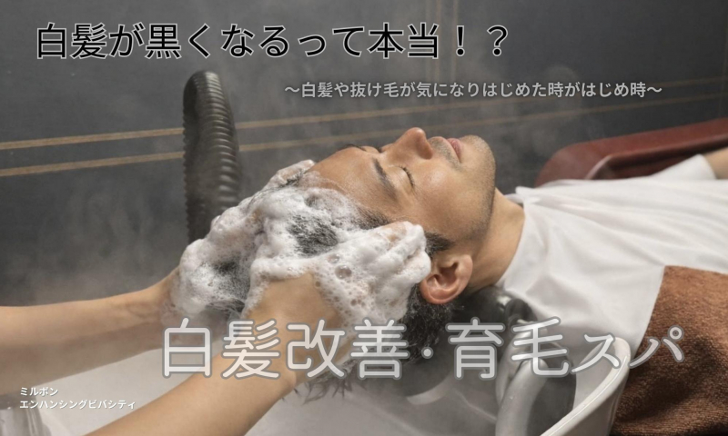 不完全な白髪って！？｜美容院の最新記事